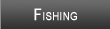 Lake Erie Fishing
